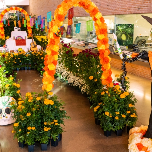 dia-de-los-muertos-october-2025