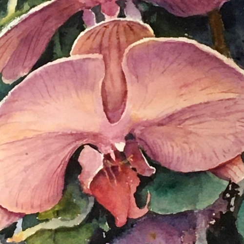 Learning Botanical Arts Watercolor