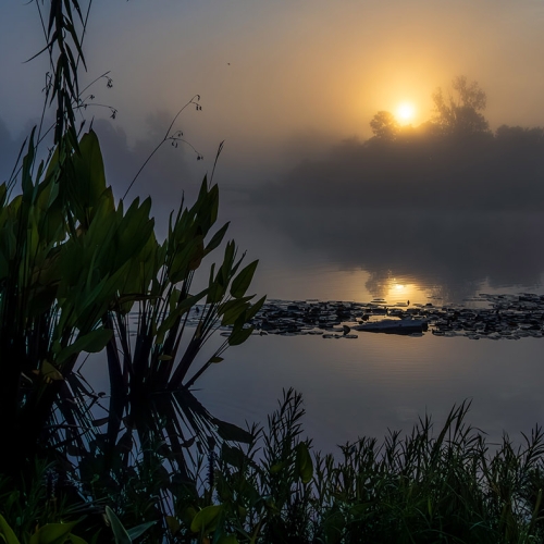 Adult Ed | Photography | Advanced landscape techniques