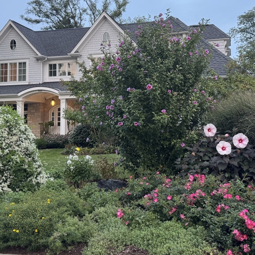 Adult Ed | Garden design | power of color