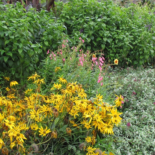 Designing with plant layers