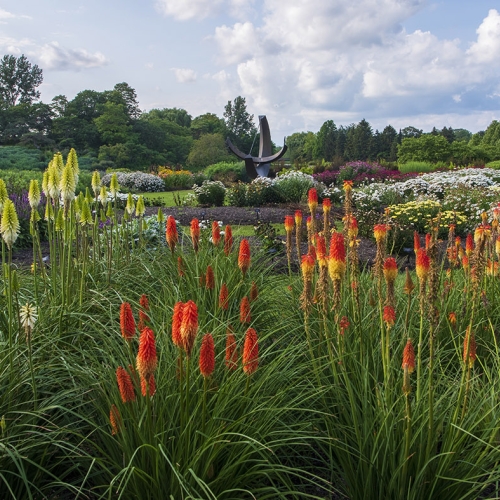 Adult Education | Garden design