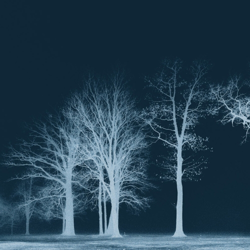 Adult Ed | Photography | Shades of blue