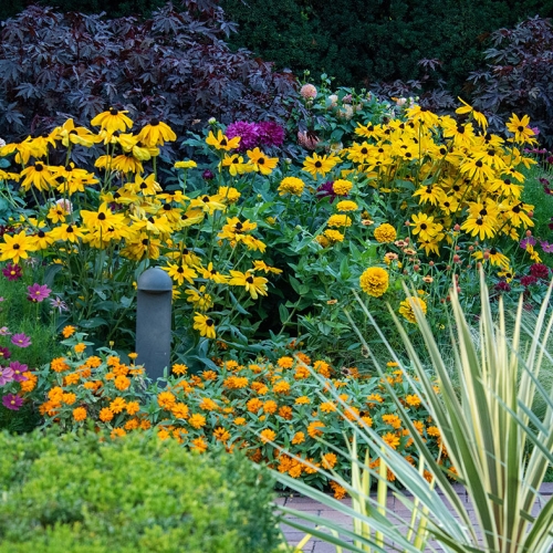 Adult Education | Garden design