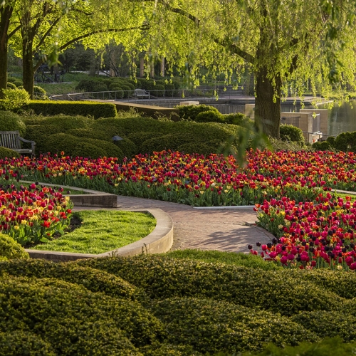 Adult Ed | Photography | Photographing signs of spring