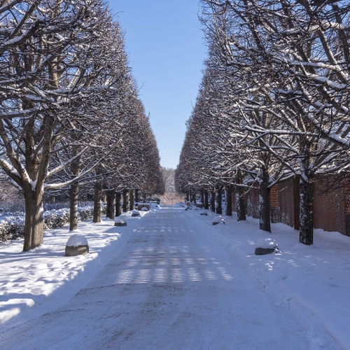 Adult Ed | Photography | Photographing winter contrasts