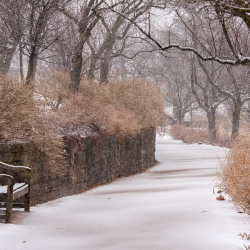 Adult Ed | Photography | Composition in landscape photography