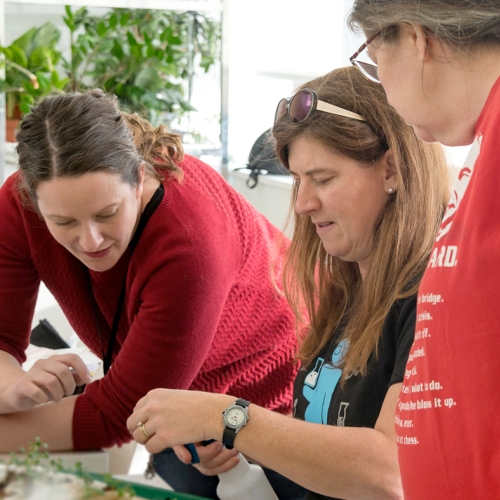 Teacher Professional Development