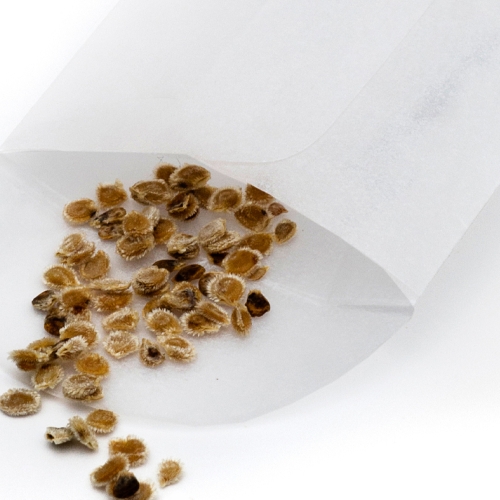 seed envelope