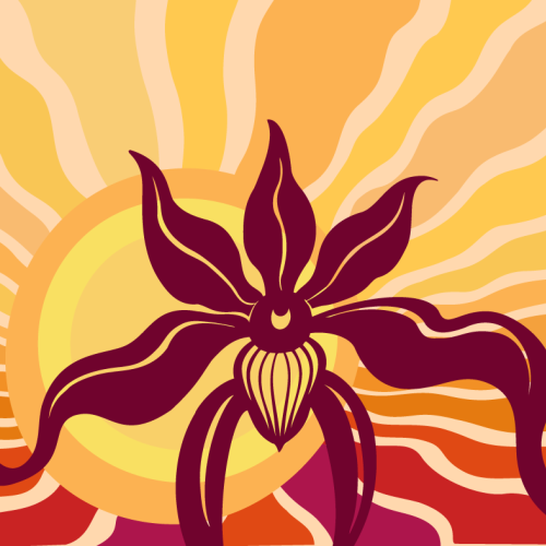 The Orchid Show: Feelin’ Groovy