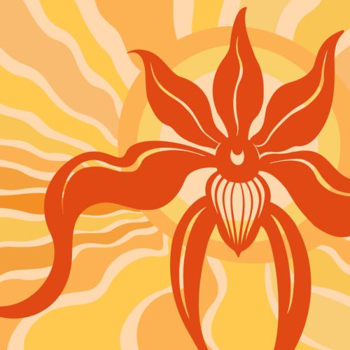 The Orchid Show: Feelin' Groovy