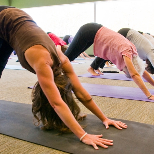 Learning Wellness Yoga