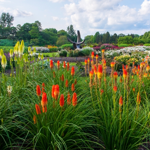 Learning Garden Design General