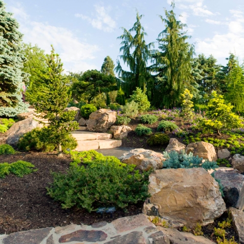 Learning Horticulture Dwarf Conifer Garden