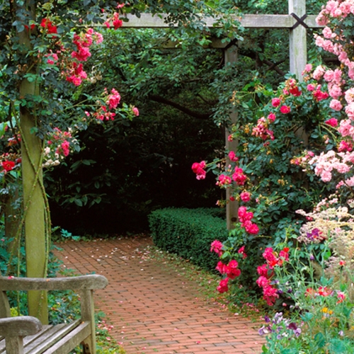 Learning Horticulture English Garden
