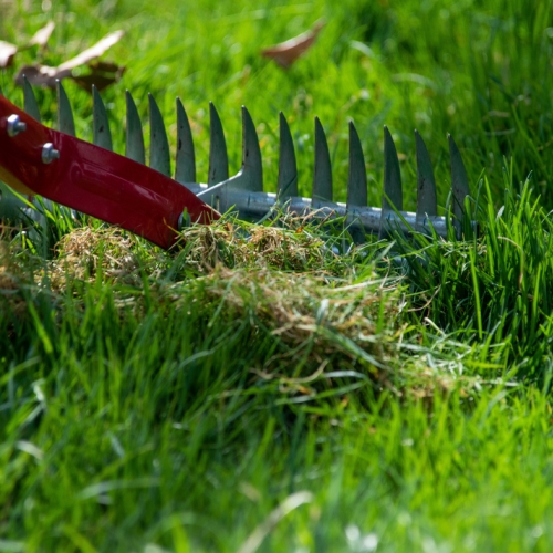 Learning Horticulture Garden Techniques