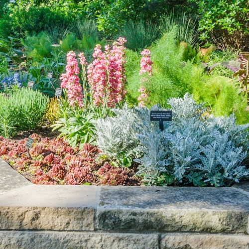 Learning Horticulture Scents