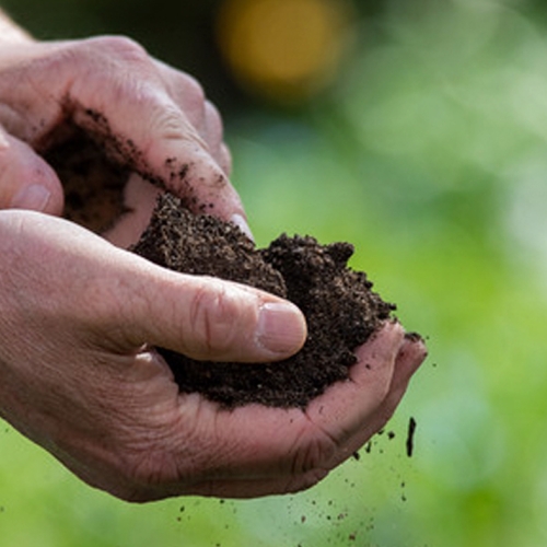 Learning Horticulture Soil