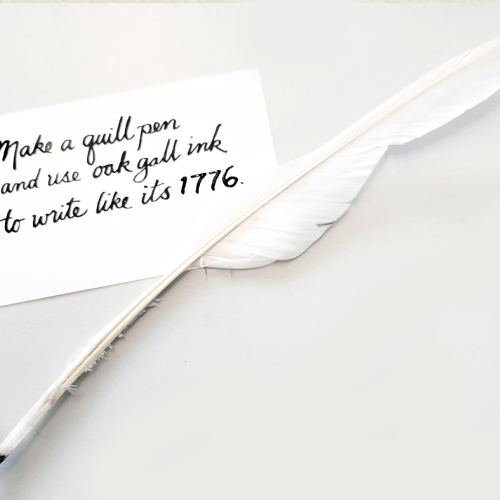 Learning Botanical Arts Quill Pen