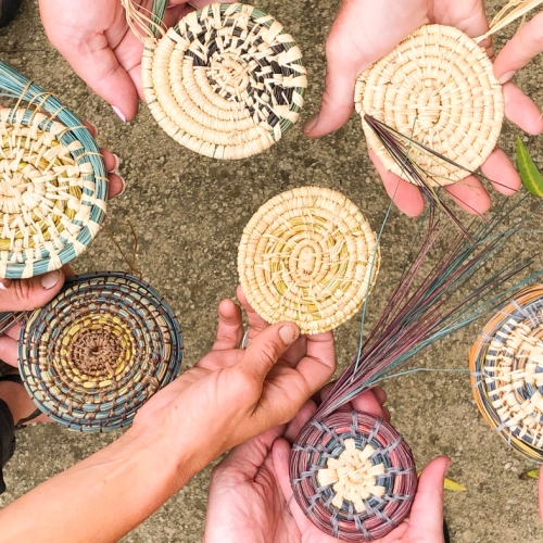 Learning Botanical Arts Threaded Weaving