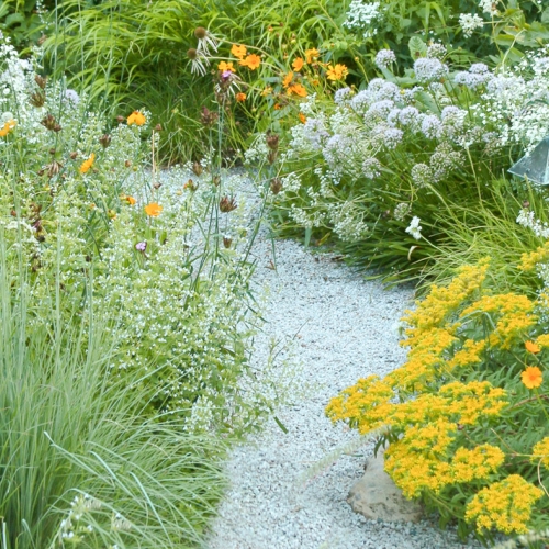Learning Garden Design Gravel