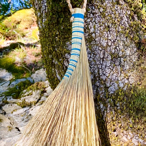 Learning Botanical Arts Broom Weaving