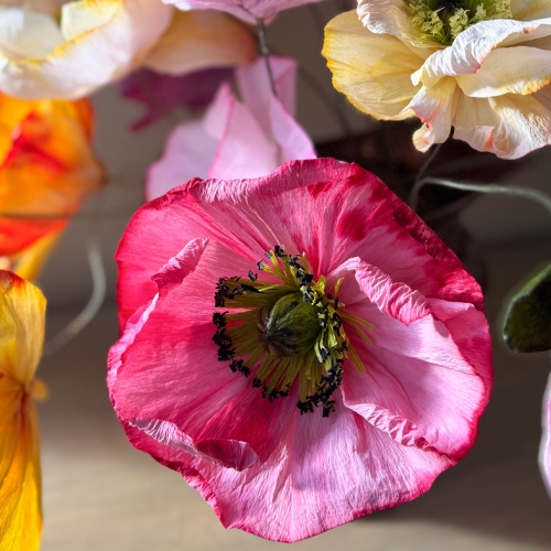 Learning Botanical Arts Paper Flowers