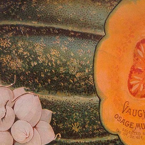 vintage-nursery-catalogs