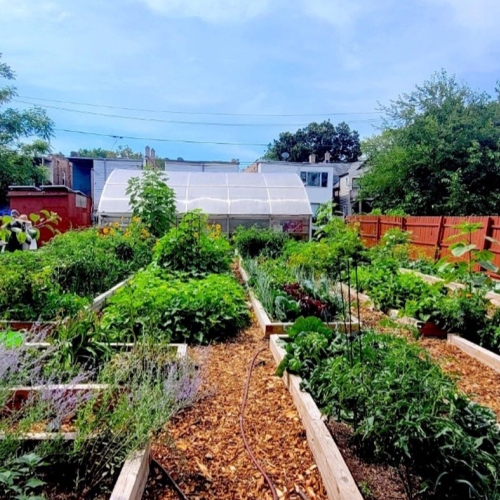 The Fulton Street Flower and Vegetable Garden