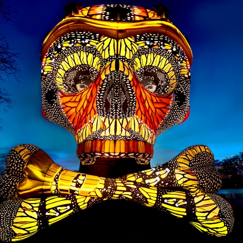 Monarch Skull