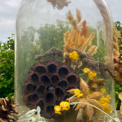 Learning Botanical Arts Cloche