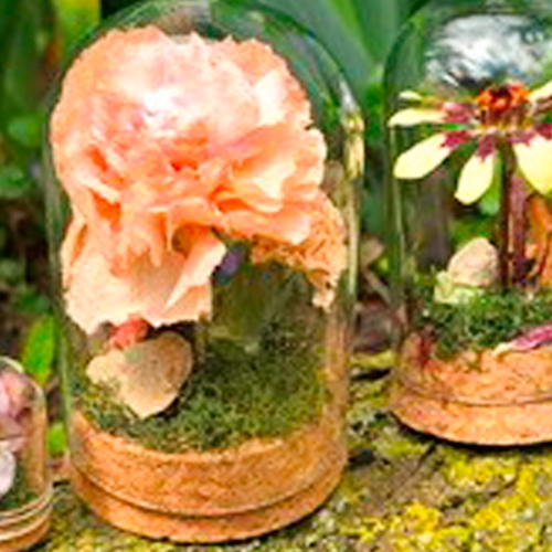 Learning Botanical Arts Terrarium