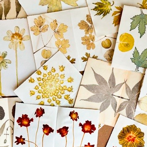 Learning Botanical Arts Papers