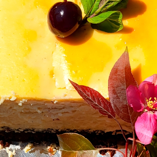 Learning Cooking Cheesecake