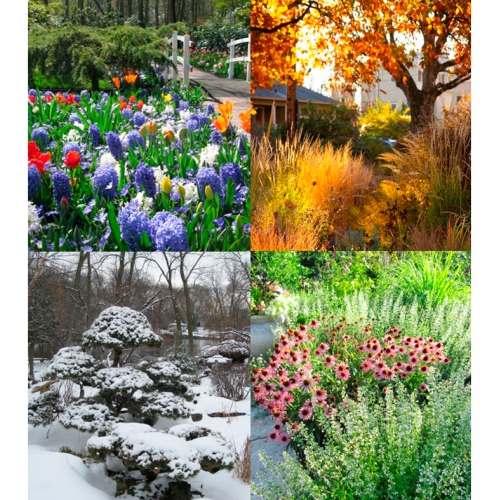 Learning Garden Design Four Seasons