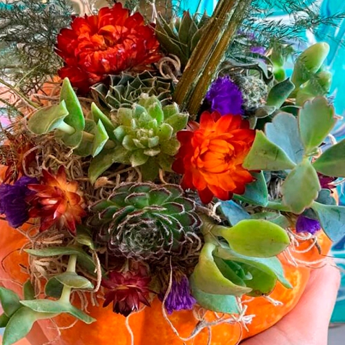 Learning Horticulture Succulent Centerpiece