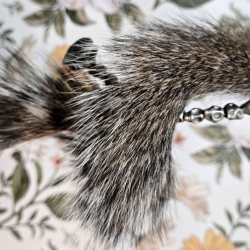 Learning Nature Squirrel Tail 