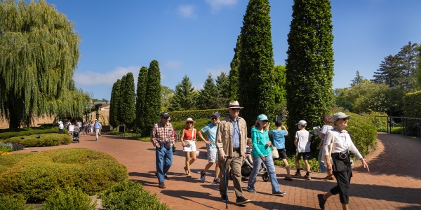 Free Walking Tours