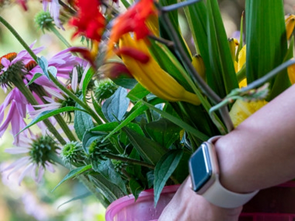 Adult Ed Horticulture Garden to Vase