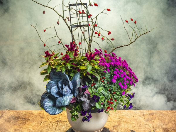 flower arrangement october