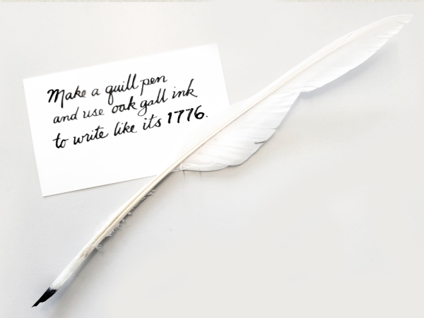 Learning Botanical Arts Quill Pen