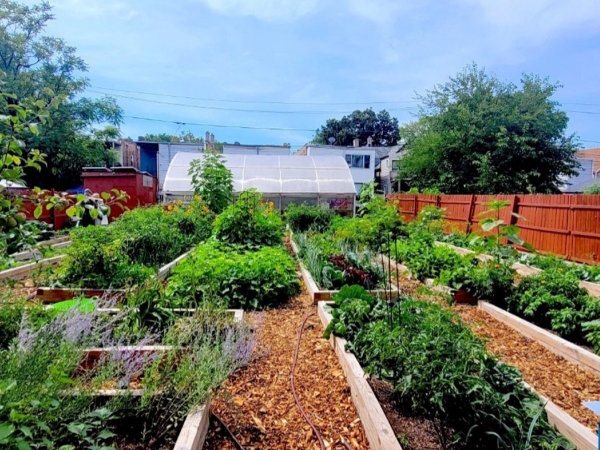 The Fulton Street Flower and Vegetable Garden