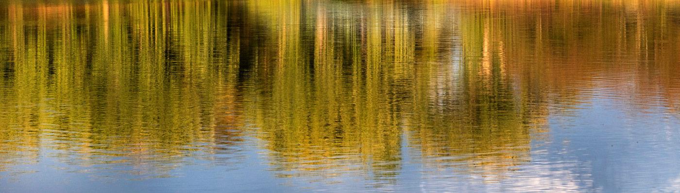 Adult Education - Water Reflection