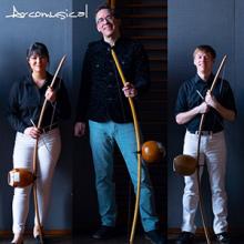 Arcomusical