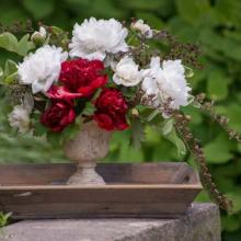 American Peony Society Annual Convention