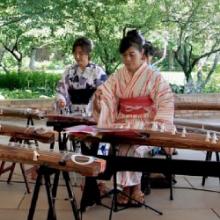Chicago Koto Group