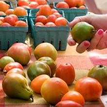 Heirloom Fest