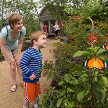 Summer Family Fun Pack Chicago Botanic Garden