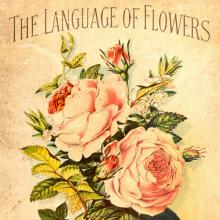 Language of Flowers
