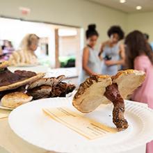 Illinois Mycological Association Mushroom Show & Sale